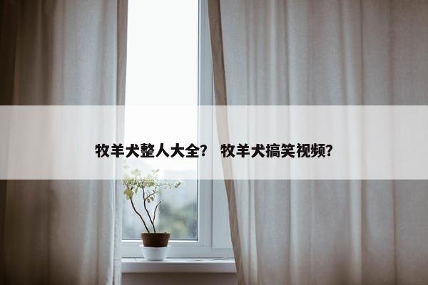 牧羊犬整人大全？ 牧羊犬搞笑视频？