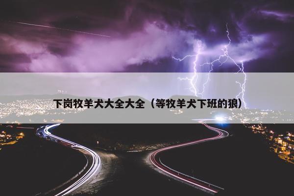 下岗牧羊犬大全大全（等牧羊犬下班的狼）