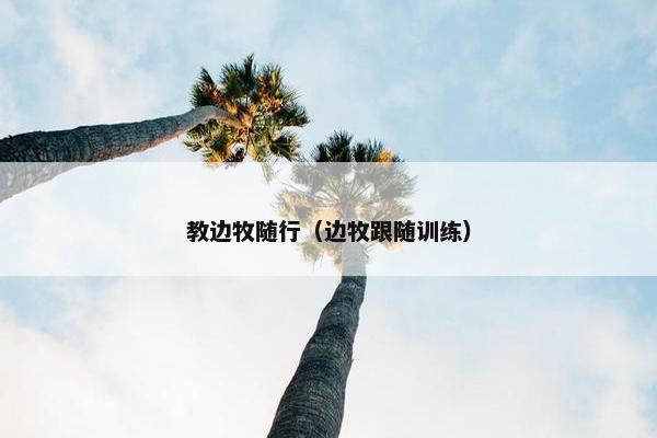 教边牧随行（边牧跟随训练）
