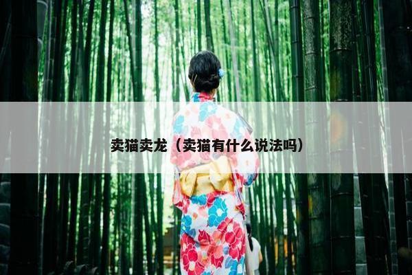 卖猫卖龙（卖猫有什么说法吗）