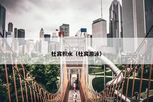 杜宾积水（杜宾游泳）