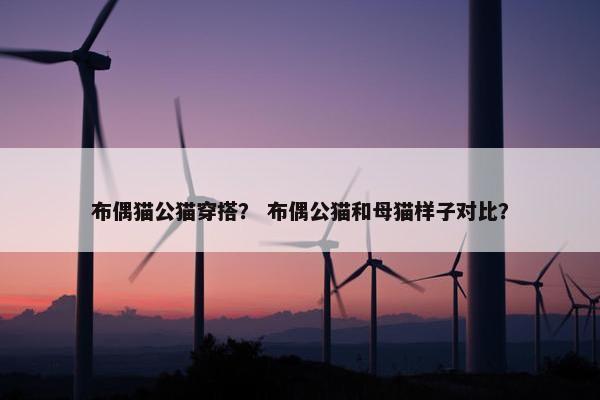 布偶猫公猫穿搭？ 布偶公猫和母猫样子对比？