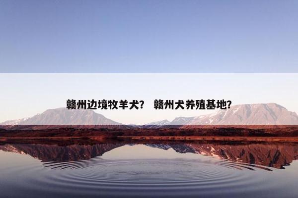 赣州边境牧羊犬？ 赣州犬养殖基地？