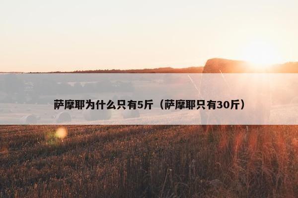 萨摩耶为什么只有5斤（萨摩耶只有30斤）