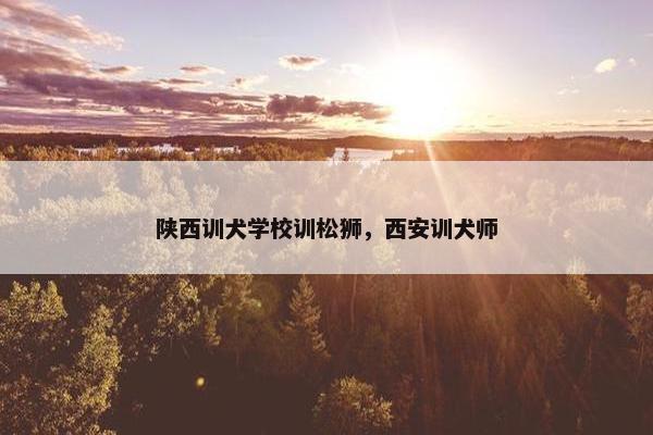 陕西训犬学校训松狮，西安训犬师