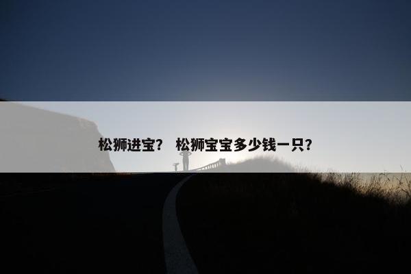松狮进宝？ 松狮宝宝多少钱一只？