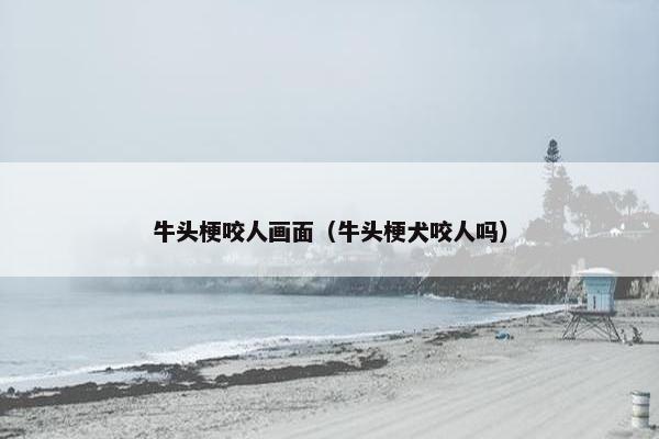 牛头梗咬人画面（牛头梗犬咬人吗）