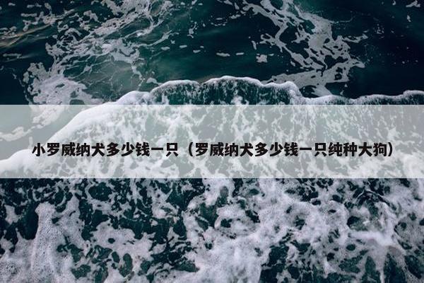 小罗威纳犬多少钱一只（罗威纳犬多少钱一只纯种大狗）