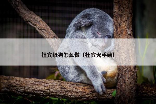 杜宾纸狗怎么做（杜宾犬手绘）