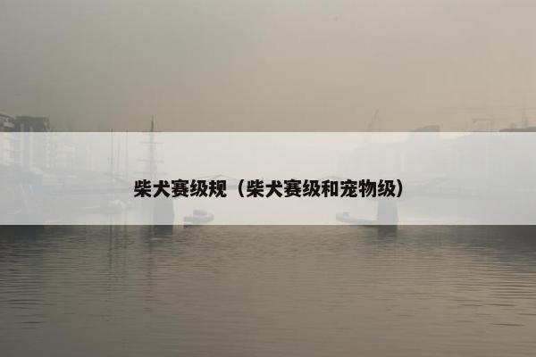 柴犬赛级规（柴犬赛级和宠物级）