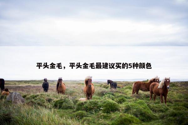 平头金毛，平头金毛最建议买的5种颜色