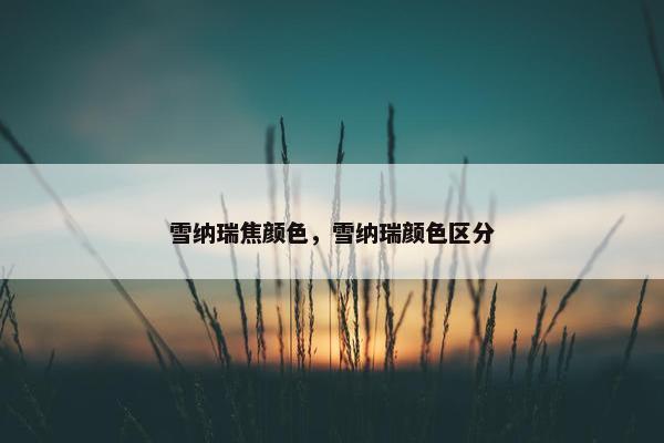雪纳瑞焦颜色，雪纳瑞颜色区分