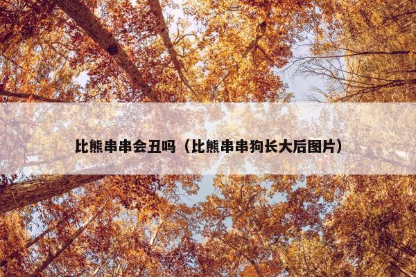 比熊串串会丑吗（比熊串串狗长大后图片）