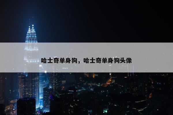 哈士奇单身狗，哈士奇单身狗头像