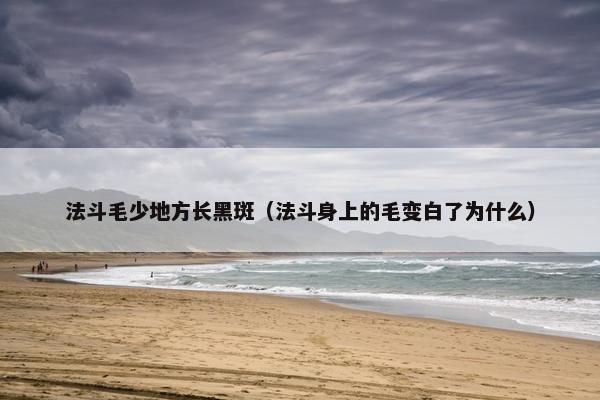 法斗毛少地方长黑斑（法斗身上的毛变白了为什么）