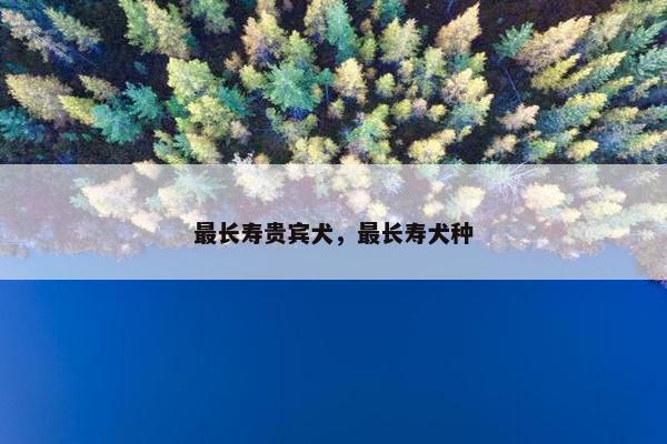 最长寿贵宾犬，最长寿犬种