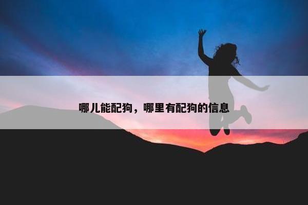 哪儿能配狗，哪里有配狗的信息