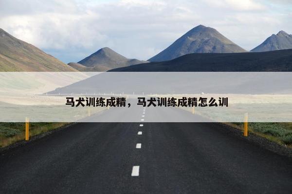 马犬训练成精，马犬训练成精怎么训