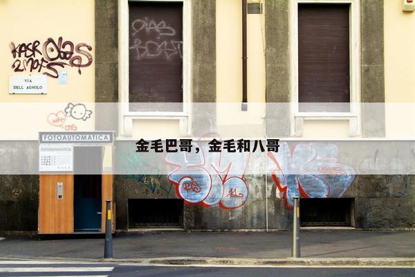 金毛巴哥，金毛和八哥