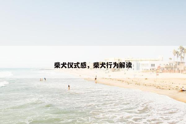 柴犬仪式感，柴犬行为解读