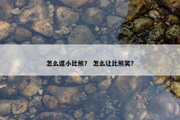 怎么逗小比熊？ 怎么让比熊笑？