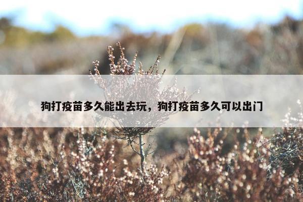 狗打疫苗多久能出去玩，狗打疫苗多久可以出门