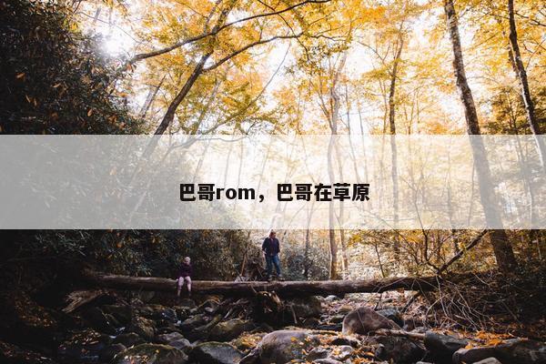 巴哥rom，巴哥在草原