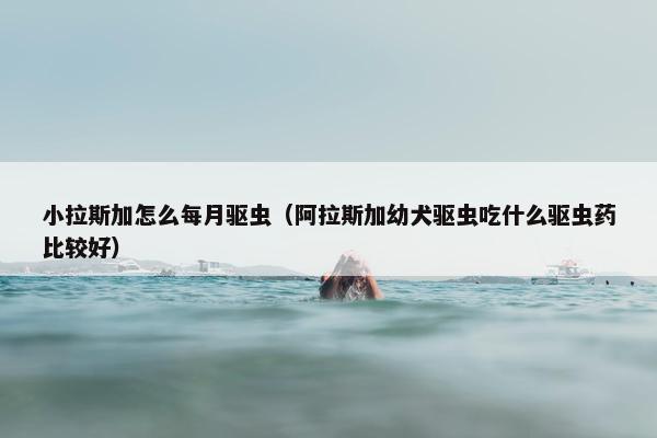 小拉斯加怎么每月驱虫（阿拉斯加幼犬驱虫吃什么驱虫药比较好）