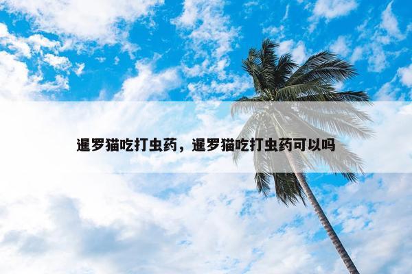 暹罗猫吃打虫药，暹罗猫吃打虫药可以吗