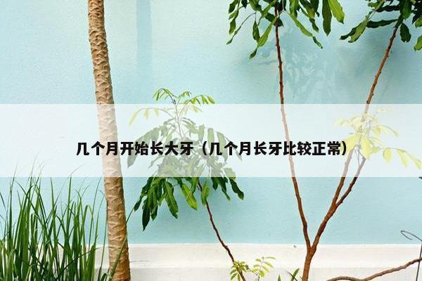 几个月开始长大牙（几个月长牙比较正常）