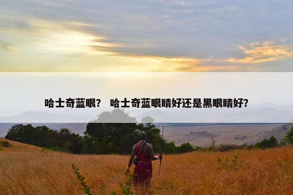 哈士奇蓝眼？ 哈士奇蓝眼睛好还是黑眼睛好？