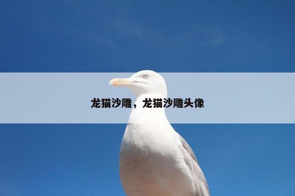 龙猫沙雕，龙猫沙雕头像