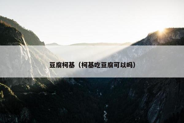 豆腐柯基（柯基吃豆腐可以吗）