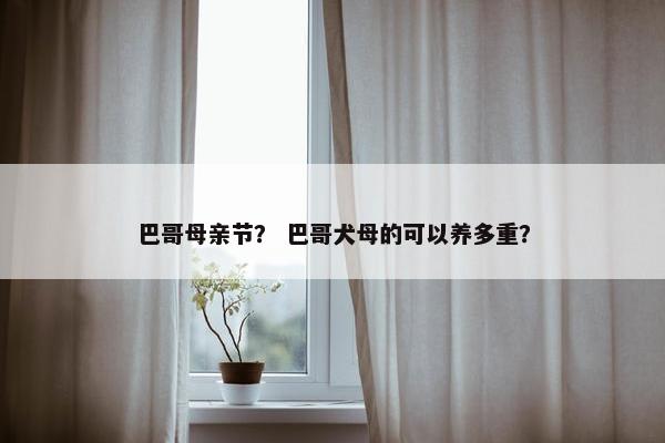 巴哥母亲节？ 巴哥犬母的可以养多重？