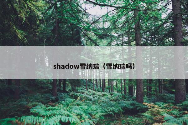 shadow雪纳瑞（雪纳瑞吗）
