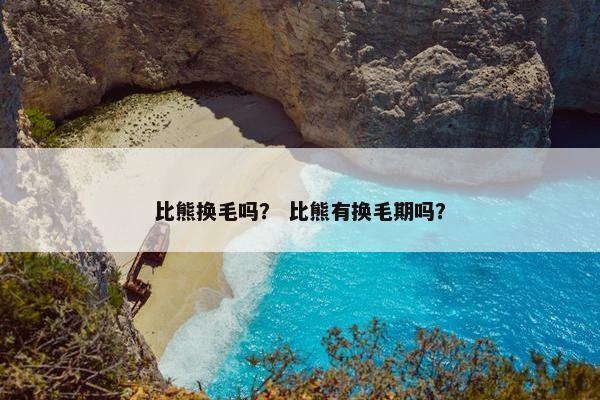 比熊换毛吗？ 比熊有换毛期吗？