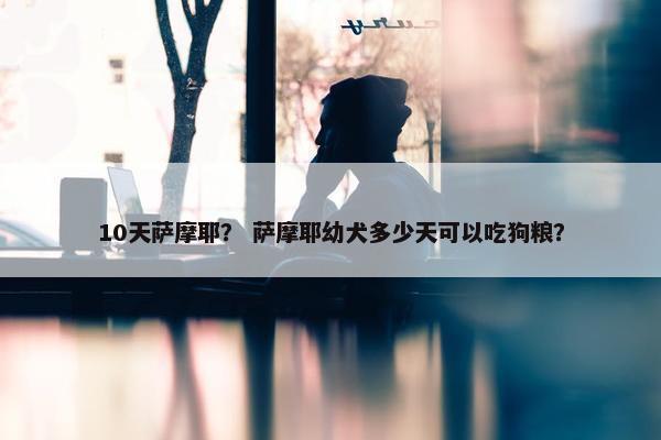 10天萨摩耶？ 萨摩耶幼犬多少天可以吃狗粮？