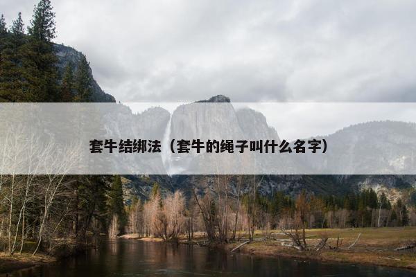 套牛结绑法（套牛的绳子叫什么名字）