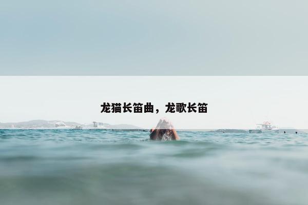 龙猫长笛曲，龙歌长笛
