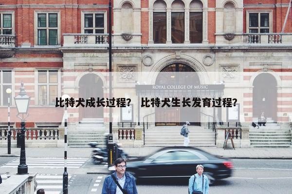 比特犬成长过程？ 比特犬生长发育过程？