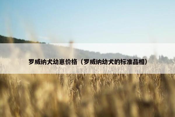 罗威纳犬幼崽价格（罗威纳幼犬的标准品相）