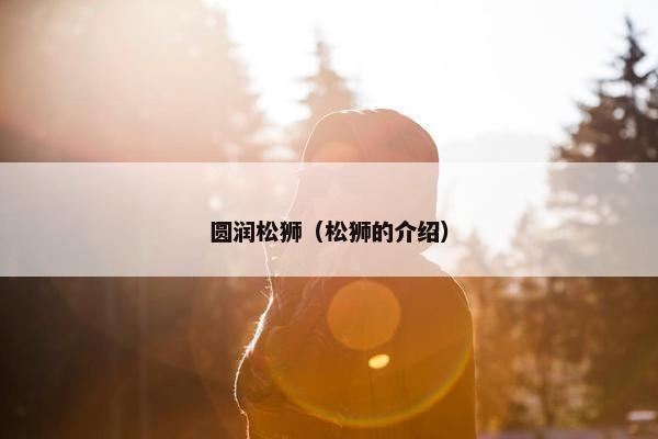 圆润松狮（松狮的介绍）