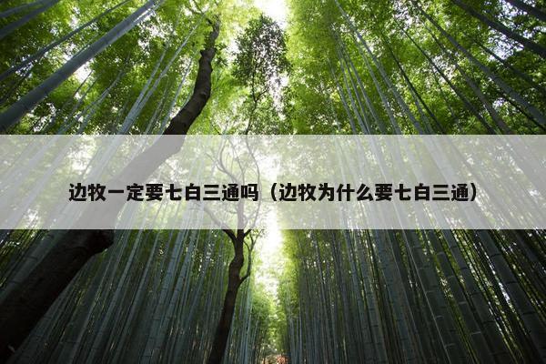 边牧一定要七白三通吗（边牧为什么要七白三通）