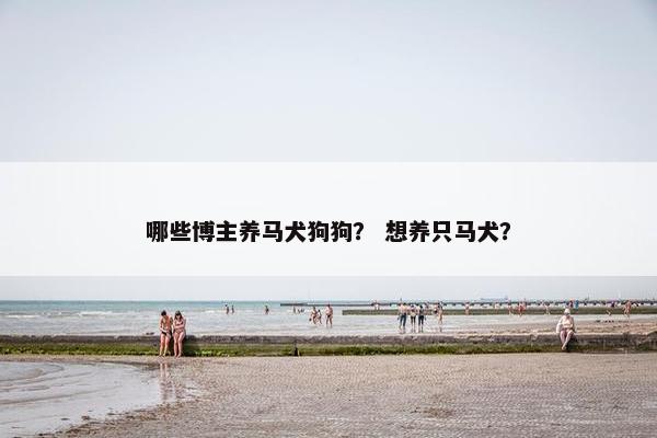 哪些博主养马犬狗狗？ 想养只马犬？