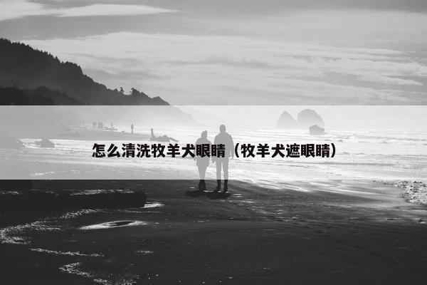 怎么清洗牧羊犬眼睛（牧羊犬遮眼睛）