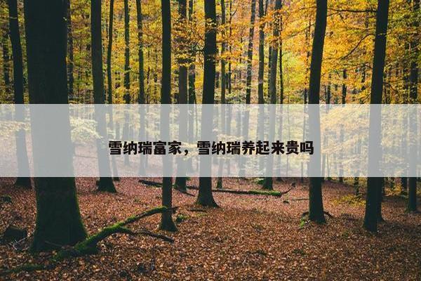 雪纳瑞富家，雪纳瑞养起来贵吗