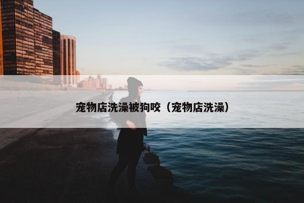 宠物店洗澡被狗咬（宠物店洗澡）