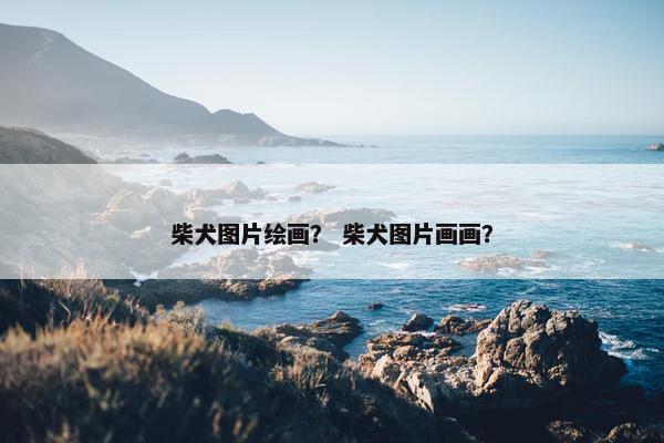 柴犬图片绘画？ 柴犬图片画画？
