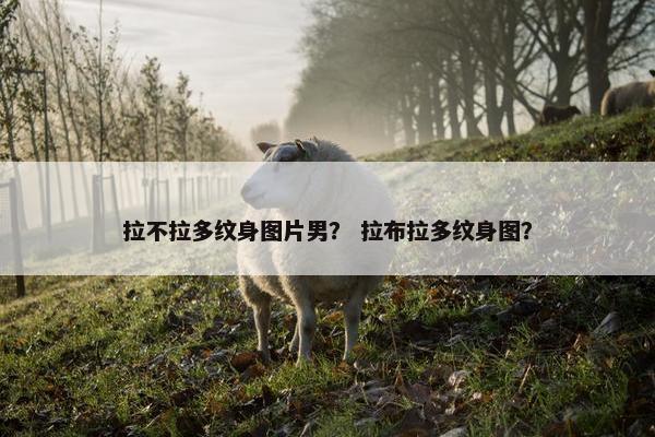 拉不拉多纹身图片男？ 拉布拉多纹身图？