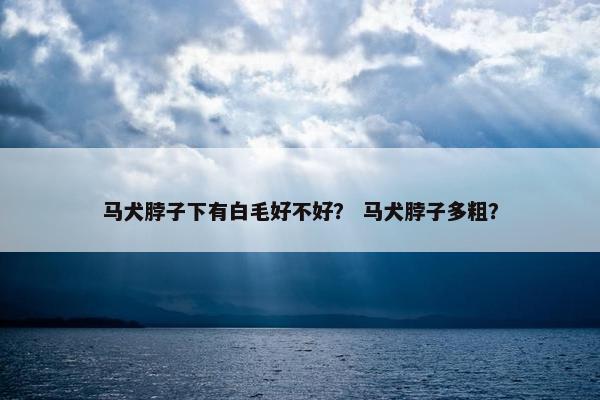 马犬脖子下有白毛好不好？ 马犬脖子多粗？